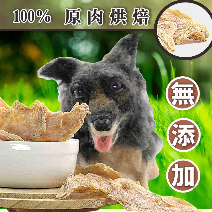 雞肉